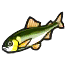 Image de Ayu
