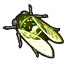 Image de Cigale verte