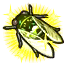 Image de Cigale verte ★