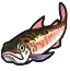 Image de Huchon géant