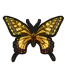Image de Machaon