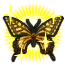 Image de Machaon ★