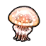 Image de Méduse