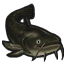 Image de Poisson-chat