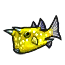Image de Poisson-vache