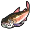 Image de Saumon