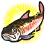 Image de Saumon ★