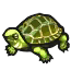 Image de Tortue
