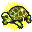 Image de Tortue ★