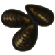 Image de Moules
