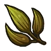 Image de Herbe fétide