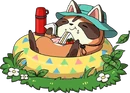 Image de Lunch Okiraccoon