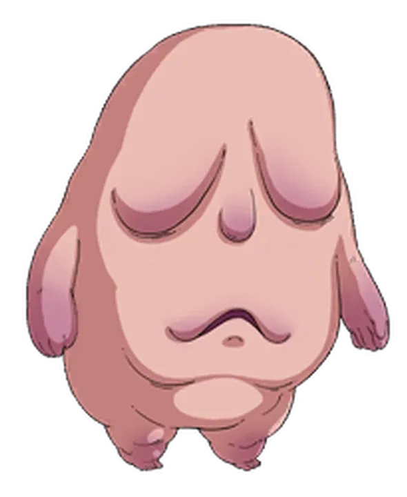 Image de Abracadagras