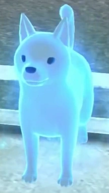 Image de Naviwan