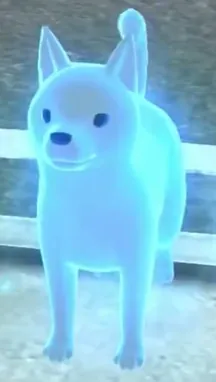 Image de Naviwan